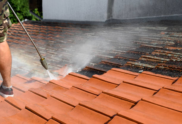 Best Pressure Washing Company Near Me  in Timpson, TX