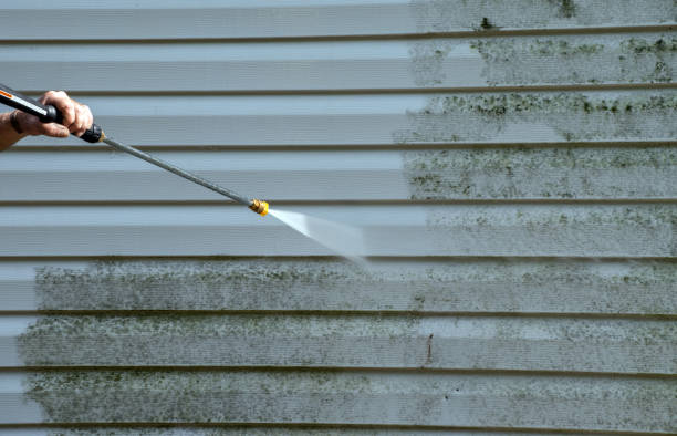 Best Residential Pressure Washing Services  in Timpson, TX