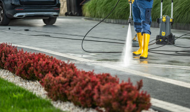Best Residential Pressure Washing Services  in Timpson, TX