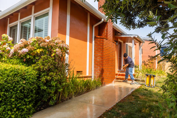 Best Deck Cleaning Services  in Timpson, TX